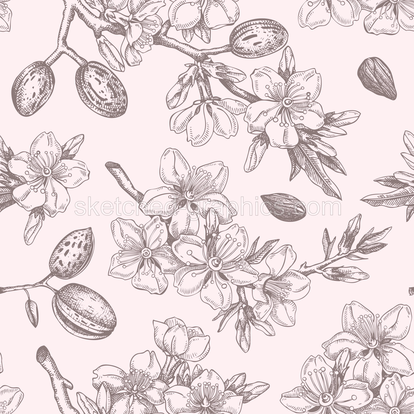 Almond blossom sketched background. Floral seamless pattern. Flowering branches with nuts, flowers, and leaves design. Botanical vector illustration of spring nut tree.  Illustration